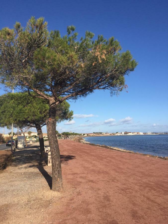 La Scribote * Marseillan (Herault)